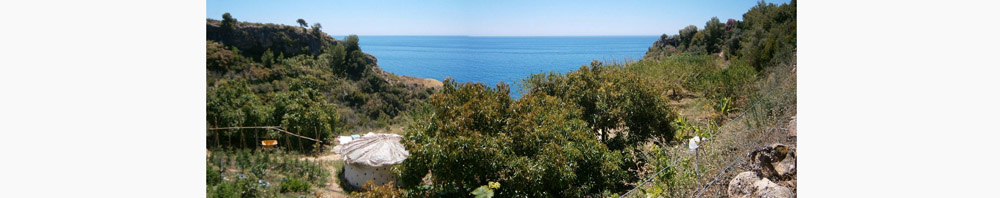 Vegan Sea